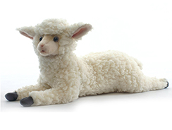 Sheep, Lambs & Goats